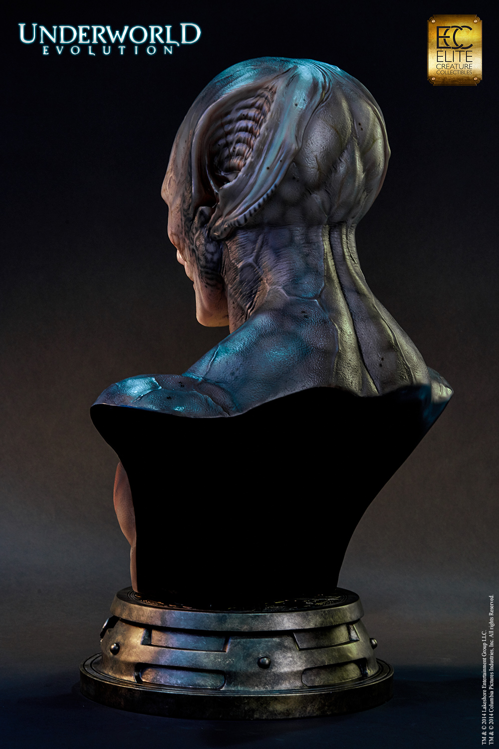 Marcus_bust_6