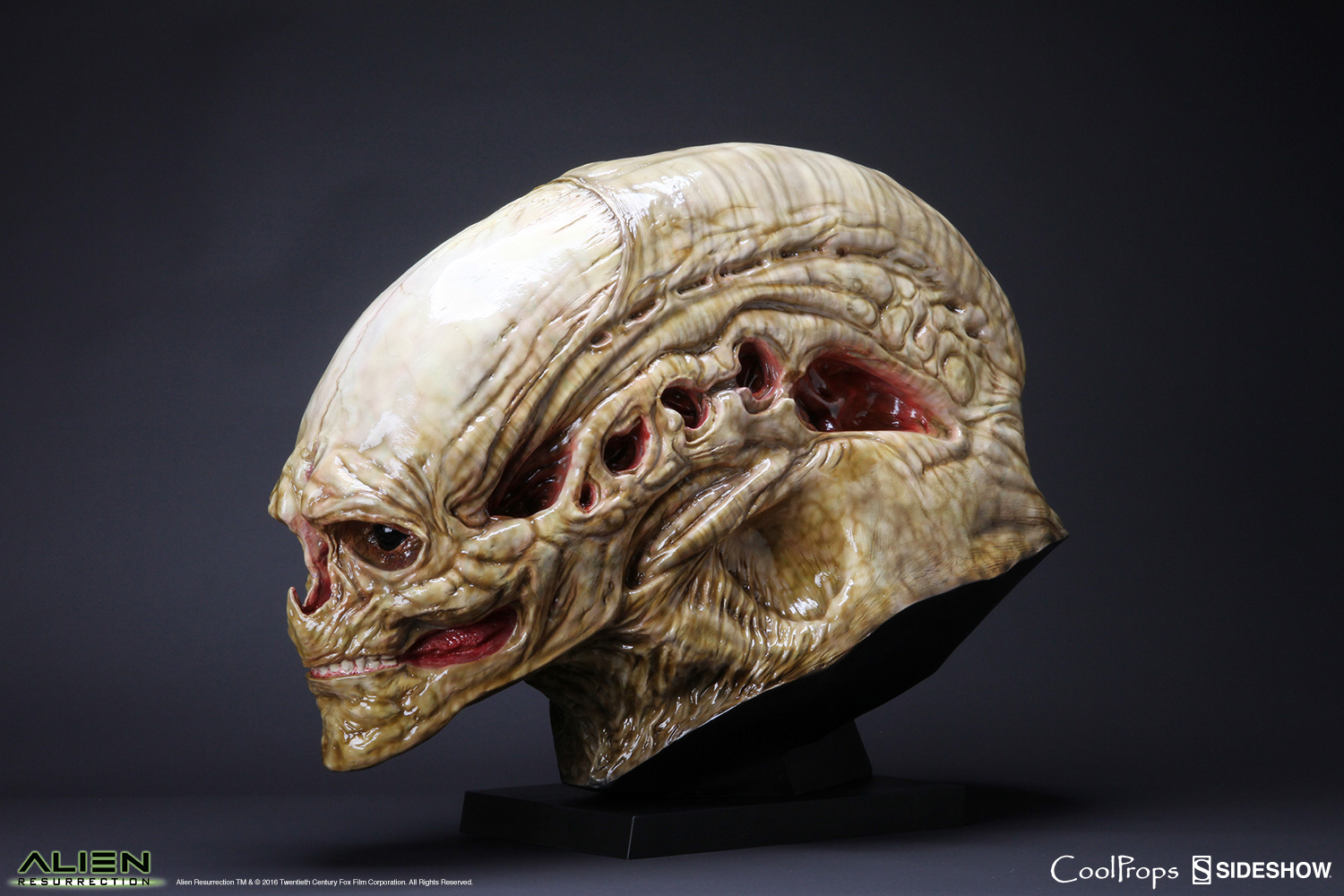 Alien Die Wiedergeburt Replik 1/1 Alien Newborn Kopf 51 cm