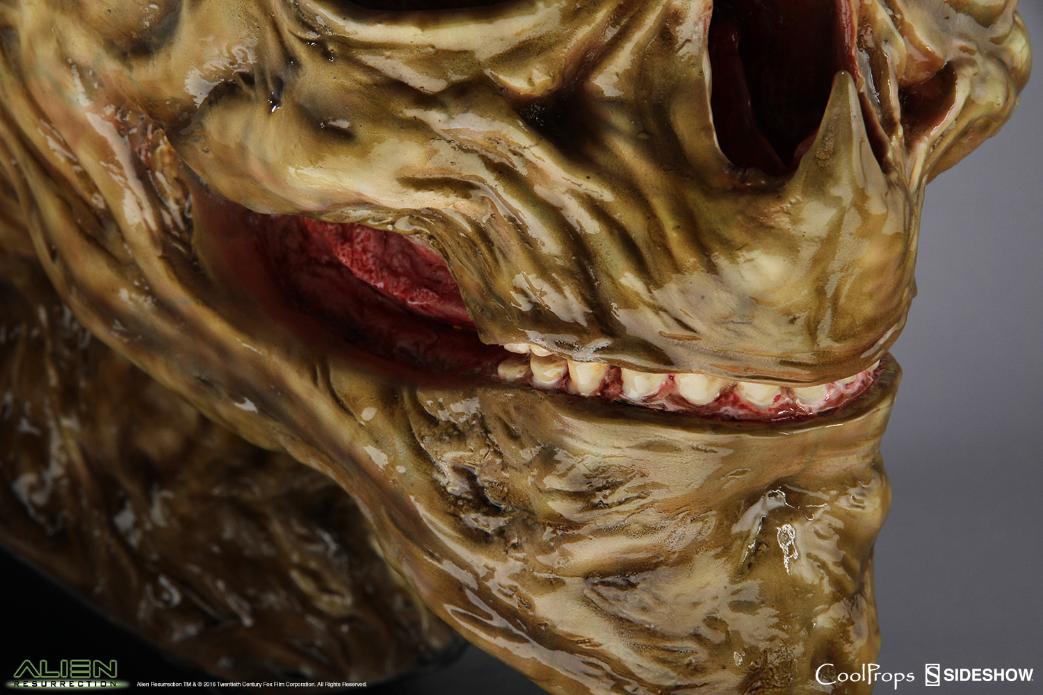 Alien Die Wiedergeburt Replik 1/1 Alien Newborn Kopf 51 cm