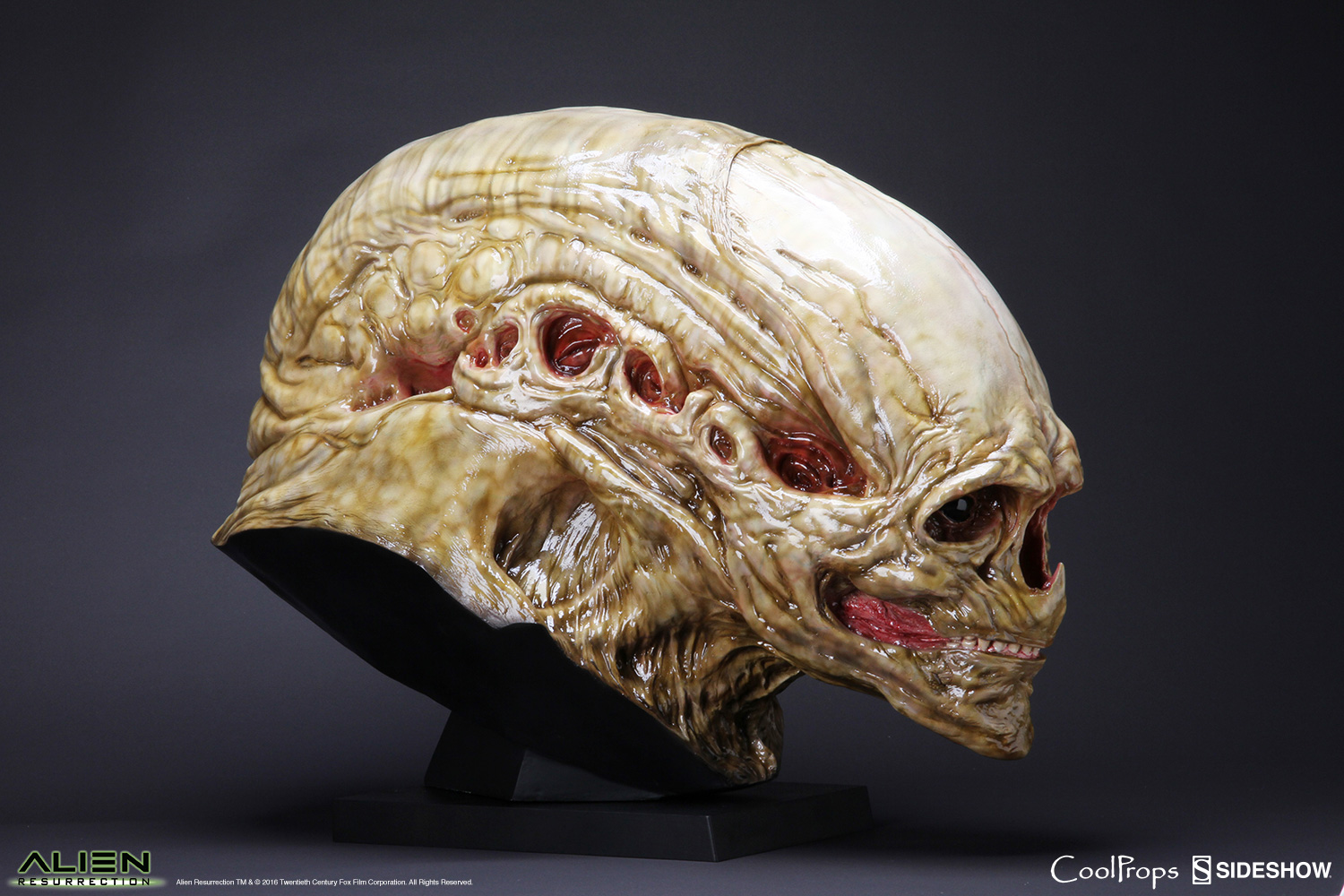 Alien Die Wiedergeburt Replik 1/1 Alien Newborn Kopf 51 cm