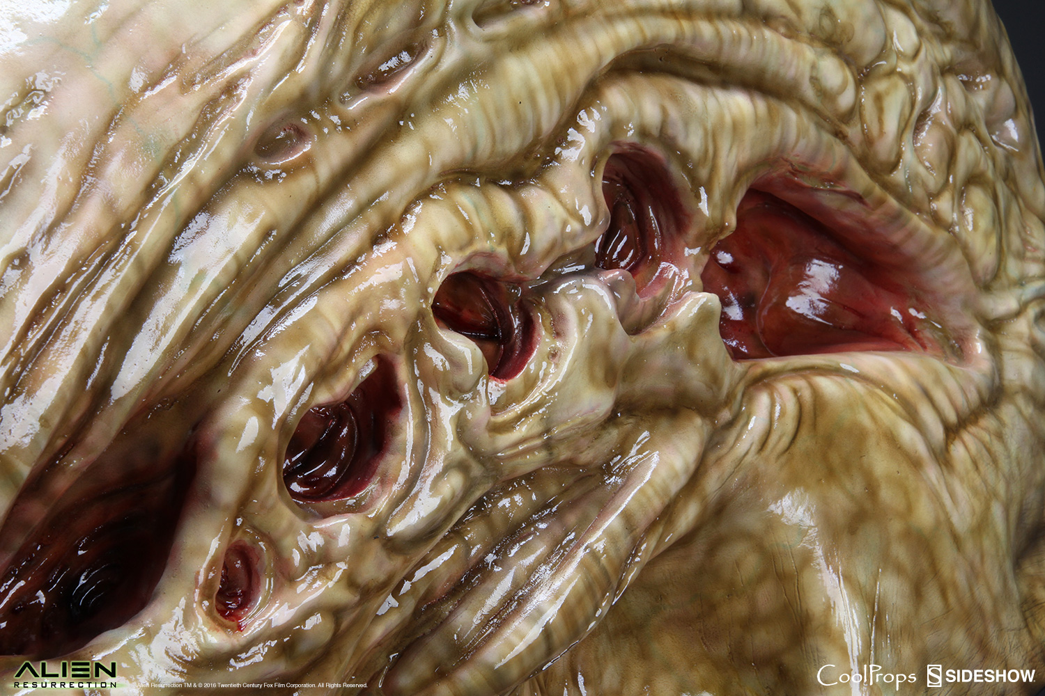 Alien Die Wiedergeburt Replik 1/1 Alien Newborn Kopf 51 cm