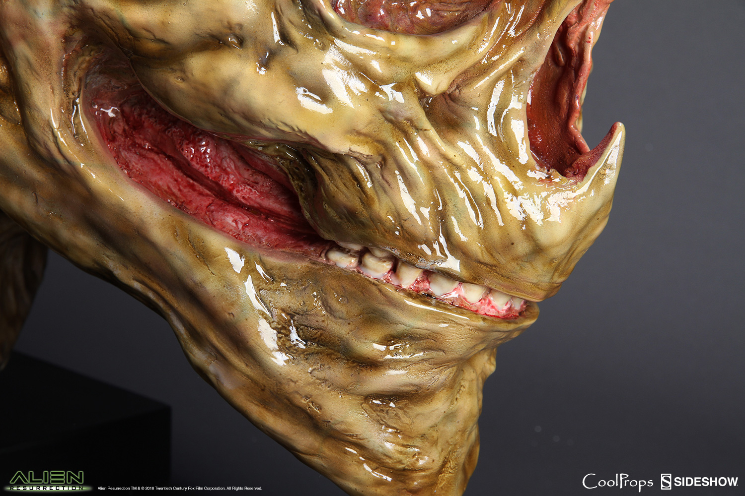 Alien Die Wiedergeburt Replik 1/1 Alien Newborn Kopf 51 cm