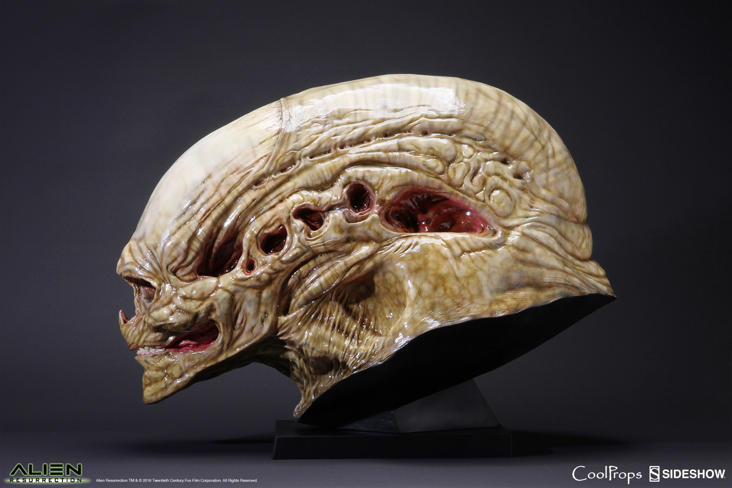 Alien Die Wiedergeburt Replik 1/1 Alien Newborn Kopf 51 cm
