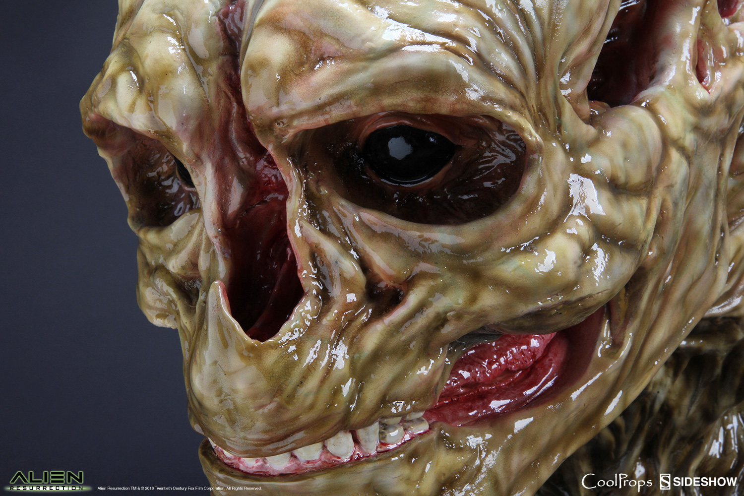 Alien Die Wiedergeburt Replik 1/1 Alien Newborn Kopf 51 cm