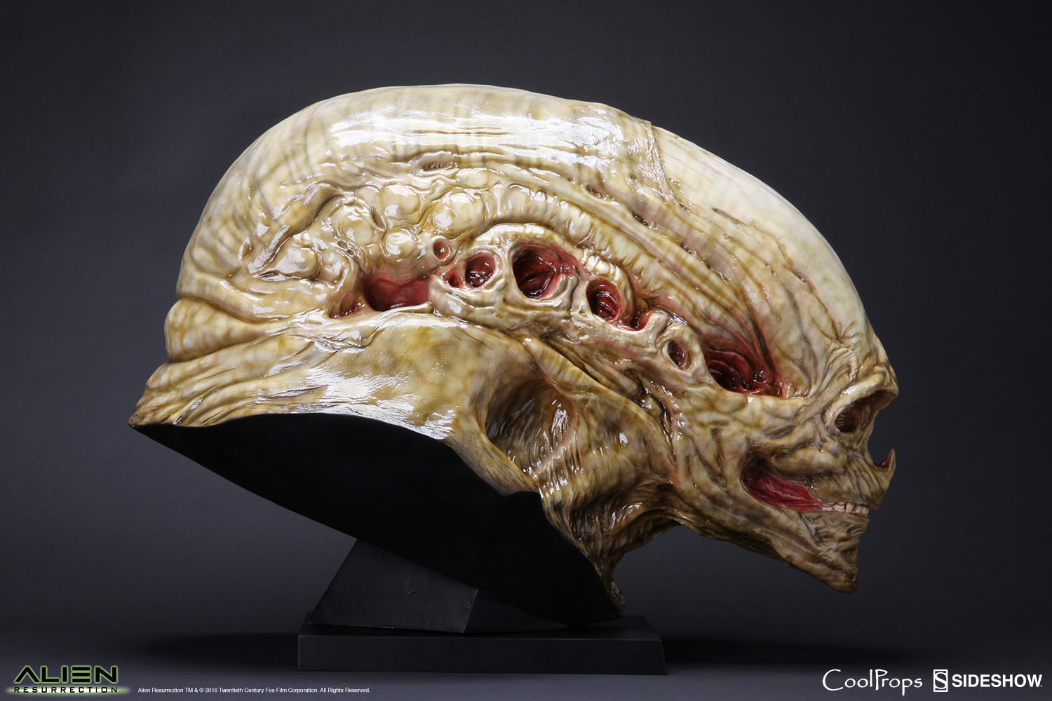 Alien Die Wiedergeburt Replik 1/1 Alien Newborn Kopf 51 cm